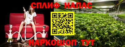 СК Северобайкальск