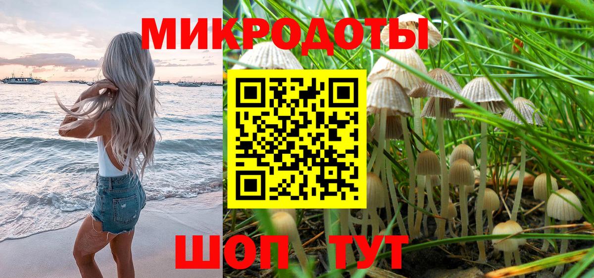 Псилоцибиновые грибы мицелий Прокопьевск