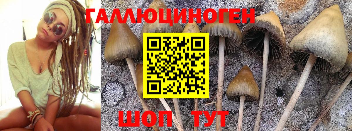 Псилоцибиновые грибы MAGIC MUSHROOMS  Вход с VPN  Прокопьевск  Псилоцибиновые грибы Magic Shrooms 