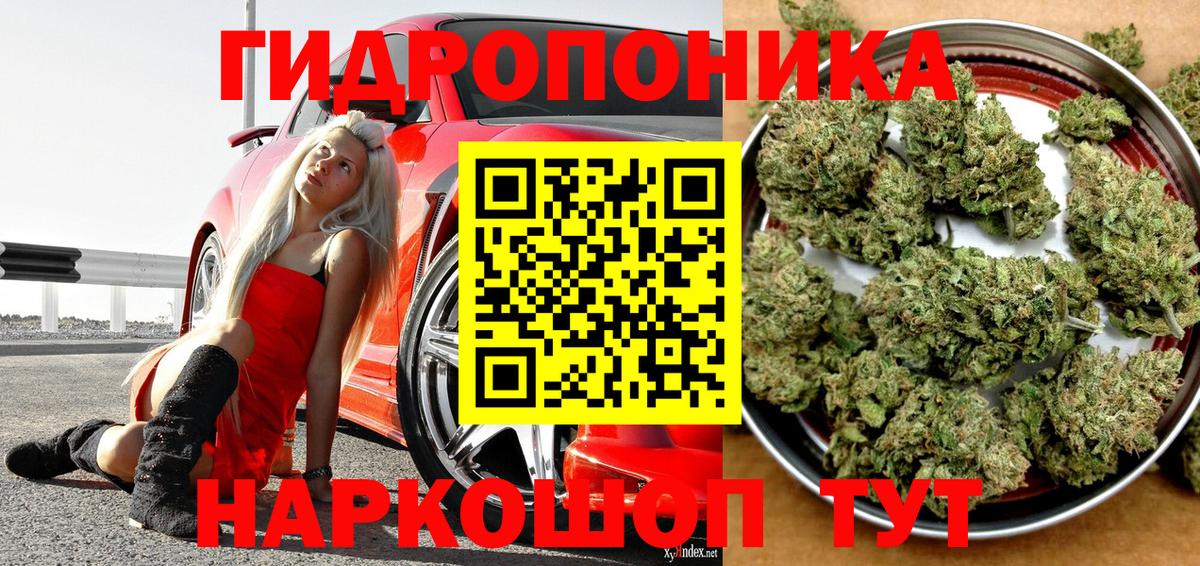 Прокопьевск  Марихуана план  Бошки марихуана марихуана  Бошки марихуана Ganja  Вход с VPN 